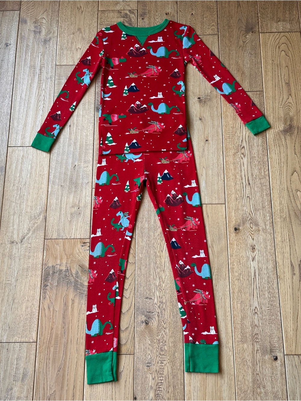 Wondershop Kids Winter Holiday Dinosaur Long John Pajama Set size 6